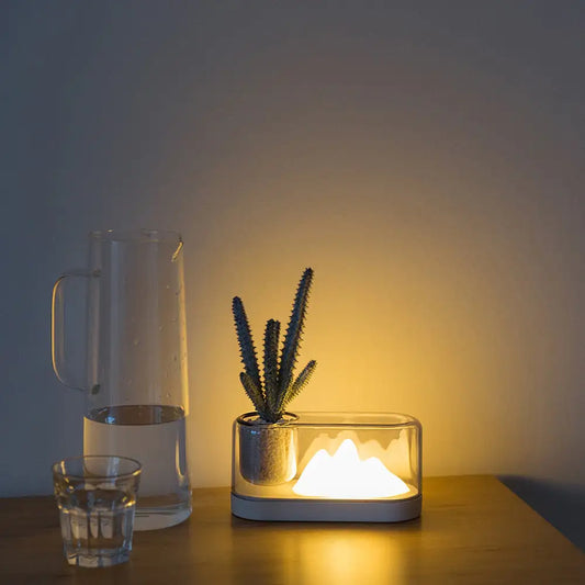 Mini Potted Plant Container Lamp